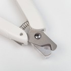 Умный когтерез для животных, с пилкой, LED фонарём и контейнером для когтей, на батарейках - фото 53821203