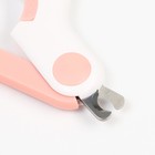 Когтерез - ножницы для животных с LED фонарём, розовый - Фото 6
