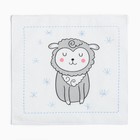 Платки носовые детские «Крошка Я. Зверята», 21×21 см, набор 12 шт., хлопок 100%, МИКС - Фото 12