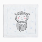 Платки носовые детские «Крошка Я. Зверята», 21×21 см, набор 12 шт., хлопок 100%, МИКС - Фото 13