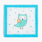 Платки носовые детские «Крошка Я. Зверята», 21×21 см, набор 12 шт., хлопок 100%, МИКС - Фото 5