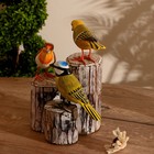 Сувенир «Три птички», 20×15×27 см, дерево  (артикул 9369152)  большой выбор товаров оптом и в розницу по низким ценам с доставкой