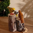 Сувенир «Три птички», 20×15×27 см, дерево  (артикул 9369152)  большой выбор товаров оптом и в розницу по низким ценам с доставкой