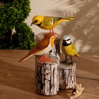 Сувенир «Три птички», 20×15×27 см, дерево  (артикул 9369152)  большой выбор товаров оптом и в розницу по низким ценам с доставкой