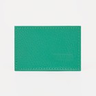 Картхолдер, цвет зелёный - Фото 1