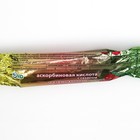 Аскорбиновая кислота со вкусом клюквы Экотекс, 10 таблеток по 2.9 г - Фото 2