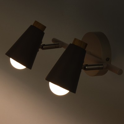 Спот «Конус» 2×40 Вт Е27 серый 30×12×16 см