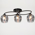 Люстра 2775/3 E27 40Вт черный 45х28х25 см BayerLux - фото 35375009