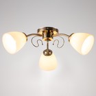 Люстра 2776/3 E27 40Вт золото 50х50х24 см BayerLux 7705037