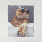 Салфетка для очков TAO9 "Кот в очках" 15*18см, цвет бежевый - фото 10079892