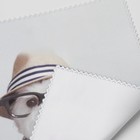 Салфетка для очков TAO11 «Собачка в шляпе» 15×18см, цвет бежевый - Фото 3