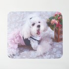 Салфетка для очков TAO50 "Собачка в платье" 15*18см, цвет бело-розовый - фото 10079904