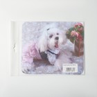 Салфетка для очков TAO50 "Собачка в платье" 15*18см, цвет бело-розовый - Фото 3
