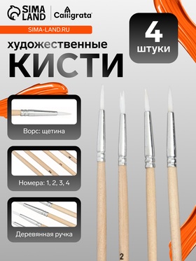 Набор кистей для рисования, щетина, 4 штуки: № 1, 2, 3, 4, круглые, деревянная ручка, международный размер (комплект 2 шт)