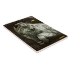 Скетчбук для акварели А5, 20 листов на гребне "Волк", обложка мелованный картон, матовая ламинация, выборочный УФ-лак, блок 200 г/м2 - фото 9069261