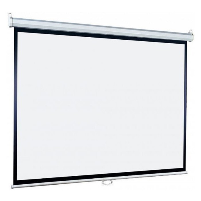 Экран Lumien 220x220 см, Eco Picture LEP-100110, 1:1, настенно-потолочный, рулонный