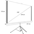 Экран на треноге Hiper 125x221 см, Cinema STP 16x9-100 16:9 напольный, рулонный - фото 51303781 Экран на треноге Hiper 125x221 см, Cinema STP 16x9-100 16:9 напольный, рулонный - фото 51303781
