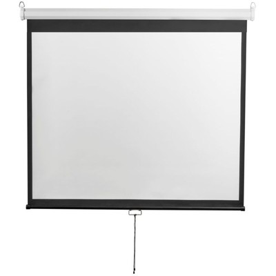 Экран 229x308 см, Digis Optimal-D DSOD-4306, 4:3, настенно-потолочный, рулонный