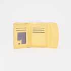 Кошелёк женский на магните, цвет жёлтый - фото 21885196