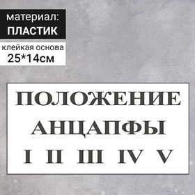 Табличка «Положение анцапфы», 250×140 мм