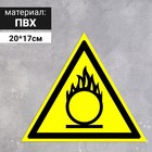 Табличка «Пожароопасно! Окислитель», 200 мм - фото 294232886