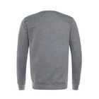 Свитшот мужской, цвет антрацит/принт МИКС, размер XXL 9129614