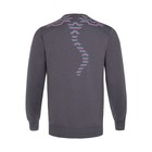 Свитшот мужской, антрацит, размер M 9129641