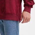 Свитшот мужской, бордо, размер XL - Фото 3