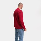 Свитшот мужской, цвет бордо/принт МИКС, размер 46 (M) 9157119