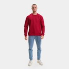 Свитшот мужской, цвет бордо/принт МИКС, размер 46 (M) 9157119