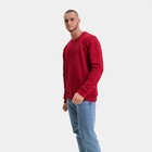 Свитшот мужской, цвет бордо/принт МИКС, размер 46 (M) 9157119