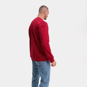 

Свитшот мужской, цвет бордо/принт МИКС, размер 52 (2XL)