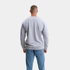 Свитшот мужской, цвет светло-серый/принт МИКС, размер 48 (L) 9157128