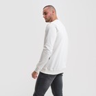 Свитшот мужской, цвет белый/принт, размер 52 (2XL) 9163623