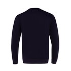 Свитшот мужской, цвет чёрный/принт МИКС, размер 46 (M) - Фото 8