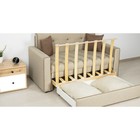 Диван-кровать "Найс" (120) ТД-295 С/М 1200х1950  (артикул 9354764)  большой выбор товаров оптом и в розницу по низким ценам с доставкой