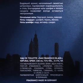 Туалетная вода мужская RM San Francisco Black, 100 мл