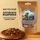 Набор трав и специй для настоек «Алтайская кедровая», 35 г. - фото 319140228
