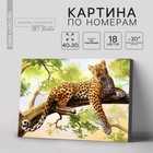 Картина по номерам на холсте с подрамником «Леопард», 40 х 30 см - фото 11296122