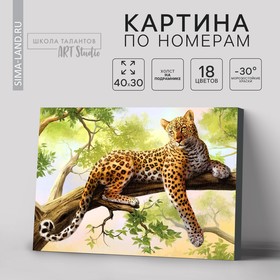 Картина по номерам на холсте с подрамником «Леопард», 40 х 30 см