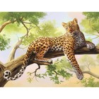 Картина по номерам на холсте с подрамником «Леопард», 40 х 30 см - Фото 2