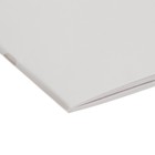 Набор альбомов А4, 20 листов на скрепке, 5 штук Calligrata без обложки - фото 24566481