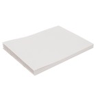 Набор альбомов А4, 20 листов на скрепке, 5 штук Calligrata без обложки - фото 24566479