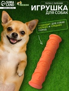 Жевательная игрушка для собак «Палка с лапками», 17.9×4.2 см, с утопленной пищалкой, TPR, оранжевая - Фото 1