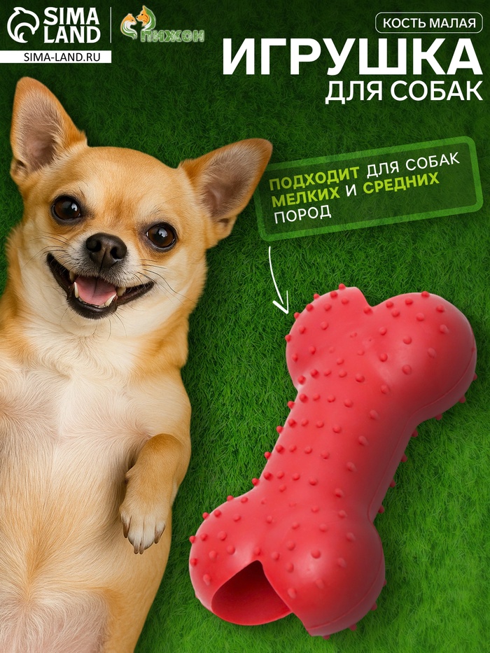 Жевательная игрушка для собак «Кость малая», 8.5 см, TPR, красная - Фото 1