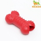 Жевательная игрушка для собак «Кость малая», 8.5 см, TPR, красная - Фото 3