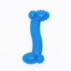 Игрушка жевательная суперпрочная "Любимое лакомство", 11 см, голубая - Фото 2
