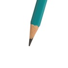Набор карандашей чёрнографитных STAFF Budget BLP-02, пластиковые, HB, с ластиком, 12 штук - Фото 3