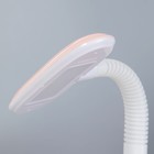 Настольная лампа "Котёнок" LED 3Вт нежно-розовый 11х26х43 см RISALUX - фото 21892157