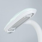 Настольная лампа "Мишка" LED 4Вт голубой 15х28,5х46 см RISALUX - фото 21892245